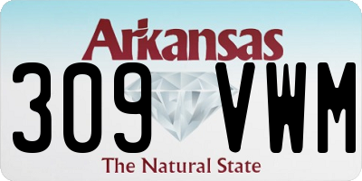 AR license plate 309VWM
