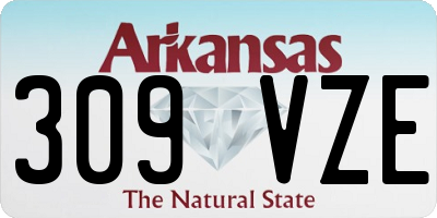 AR license plate 309VZE