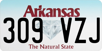 AR license plate 309VZJ