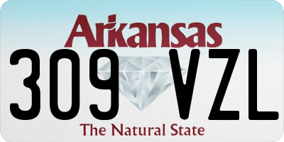 AR license plate 309VZL