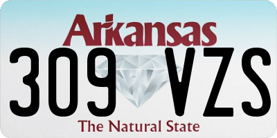 AR license plate 309VZS