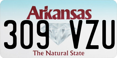 AR license plate 309VZU