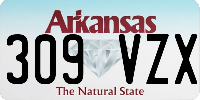 AR license plate 309VZX