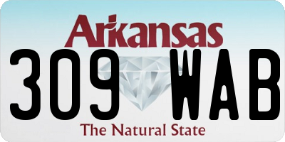 AR license plate 309WAB