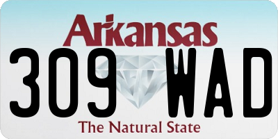 AR license plate 309WAD