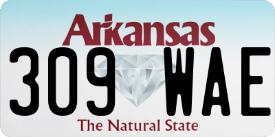AR license plate 309WAE