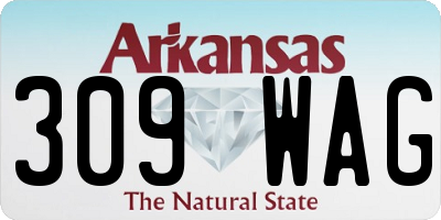 AR license plate 309WAG