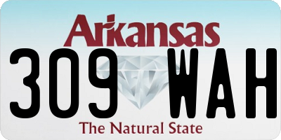 AR license plate 309WAH