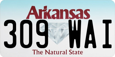 AR license plate 309WAI