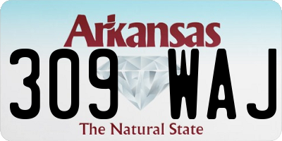 AR license plate 309WAJ