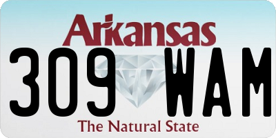 AR license plate 309WAM