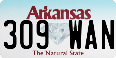 AR license plate 309WAN