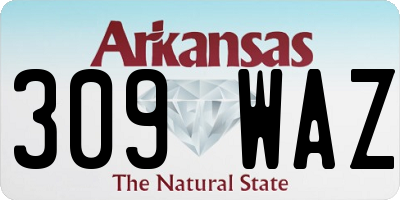 AR license plate 309WAZ