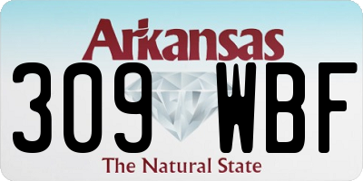 AR license plate 309WBF