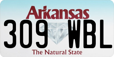 AR license plate 309WBL