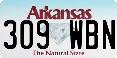 AR license plate 309WBN