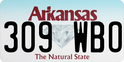 AR license plate 309WBO