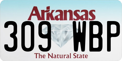 AR license plate 309WBP