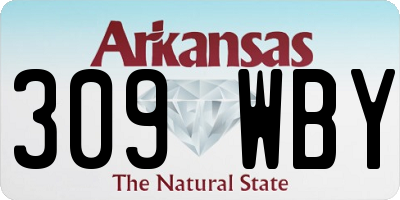 AR license plate 309WBY