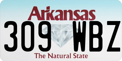 AR license plate 309WBZ