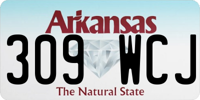 AR license plate 309WCJ