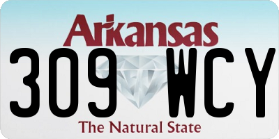 AR license plate 309WCY