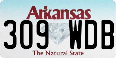 AR license plate 309WDB