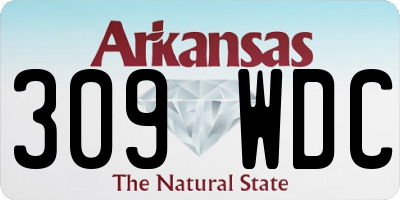 AR license plate 309WDC