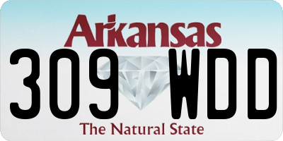 AR license plate 309WDD