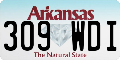 AR license plate 309WDI