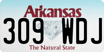 AR license plate 309WDJ