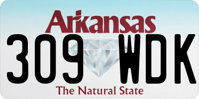 AR license plate 309WDK