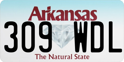 AR license plate 309WDL