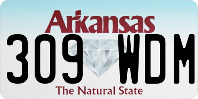 AR license plate 309WDM