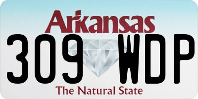 AR license plate 309WDP
