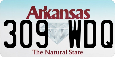 AR license plate 309WDQ