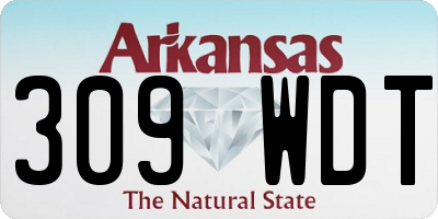 AR license plate 309WDT