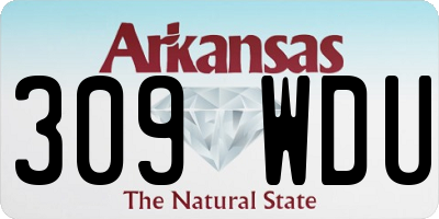 AR license plate 309WDU