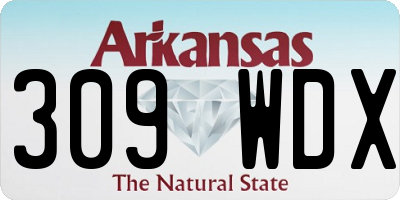 AR license plate 309WDX