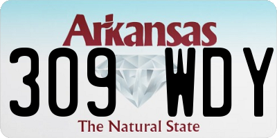 AR license plate 309WDY
