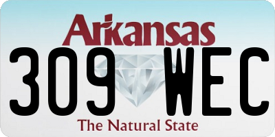AR license plate 309WEC