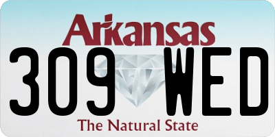 AR license plate 309WED