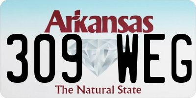 AR license plate 309WEG