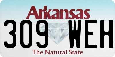 AR license plate 309WEH