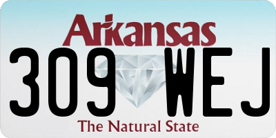 AR license plate 309WEJ