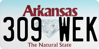 AR license plate 309WEK