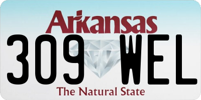 AR license plate 309WEL