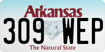 AR license plate 309WEP