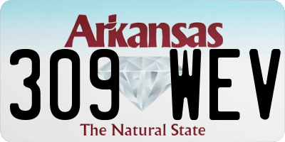 AR license plate 309WEV
