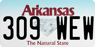 AR license plate 309WEW